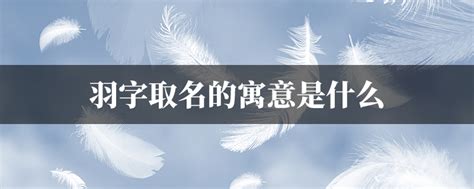 羽 五行属什么|羽字取名寓意